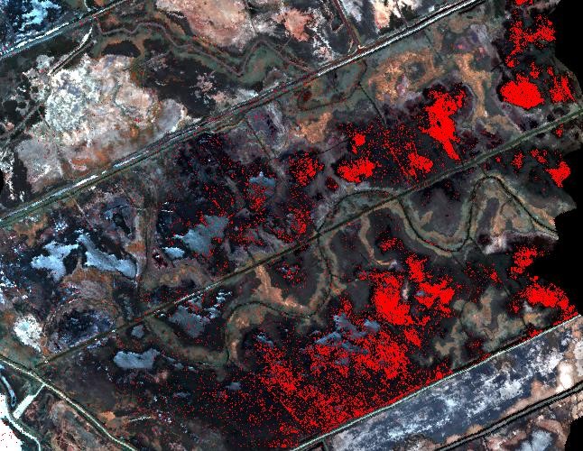 detected oil